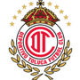 تولوكا