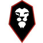 سالفورد سيتي